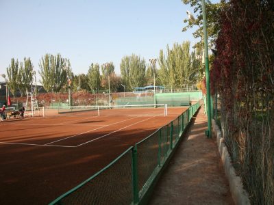 913870_515458205157839_1409831751_o